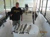 (10/17/2016) - Nice Striped Bass